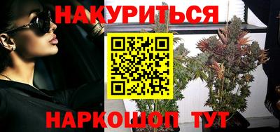 прущие крисы Славгород