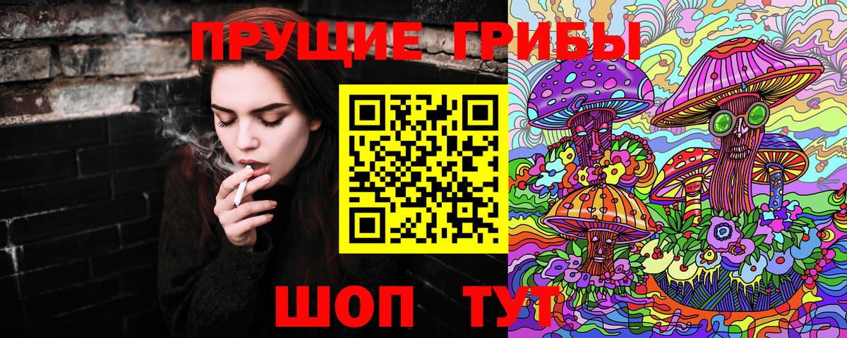 Галлюциногенные грибы Psilocybine cubensis Ржев